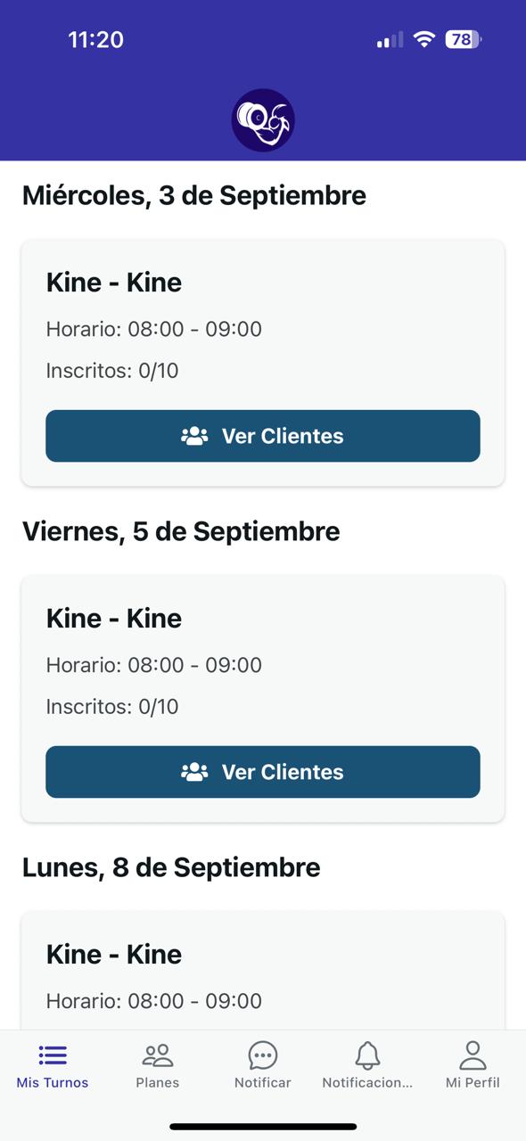 Muestra de la interfaz de profesional de la app